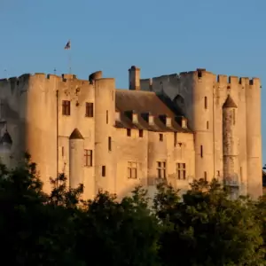 donjonniort