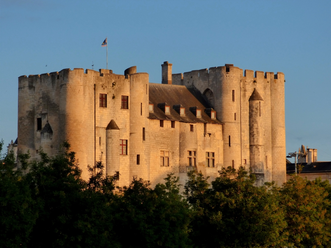 Niort - Donjon