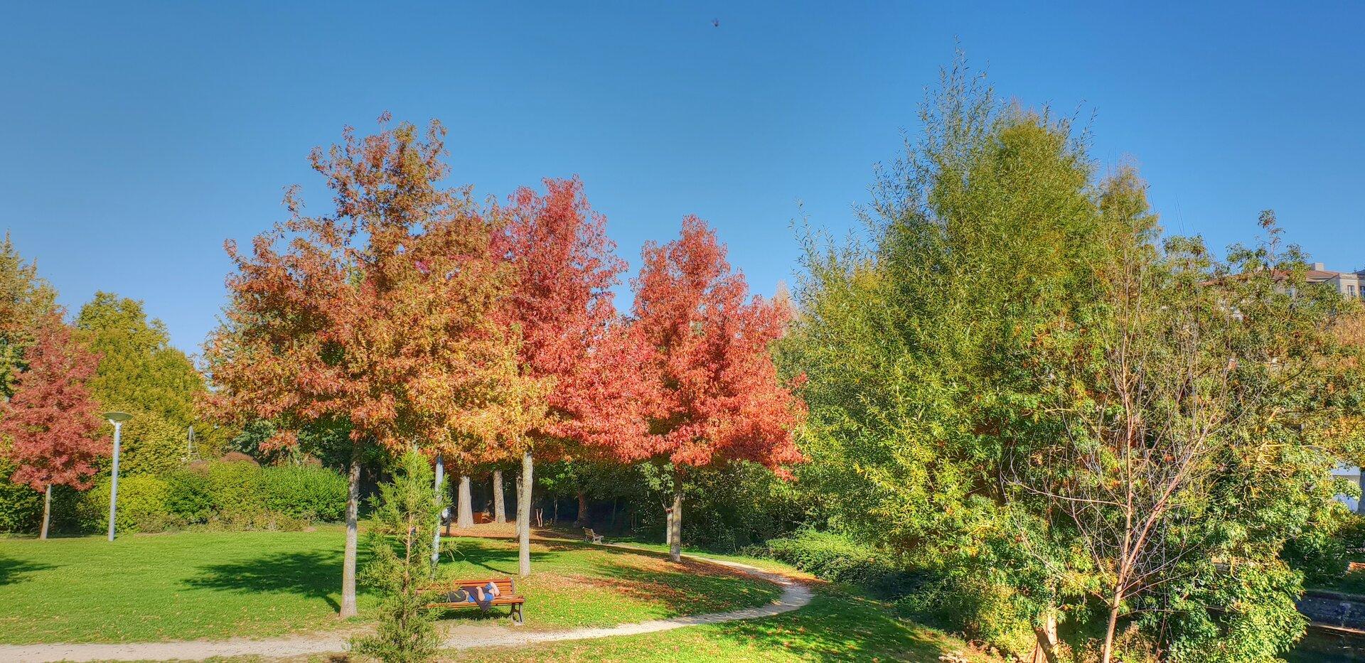 Niort - Parc de Pré-Leroy