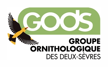 Niort - Groupe Ornithologique des Deux-Sèvres